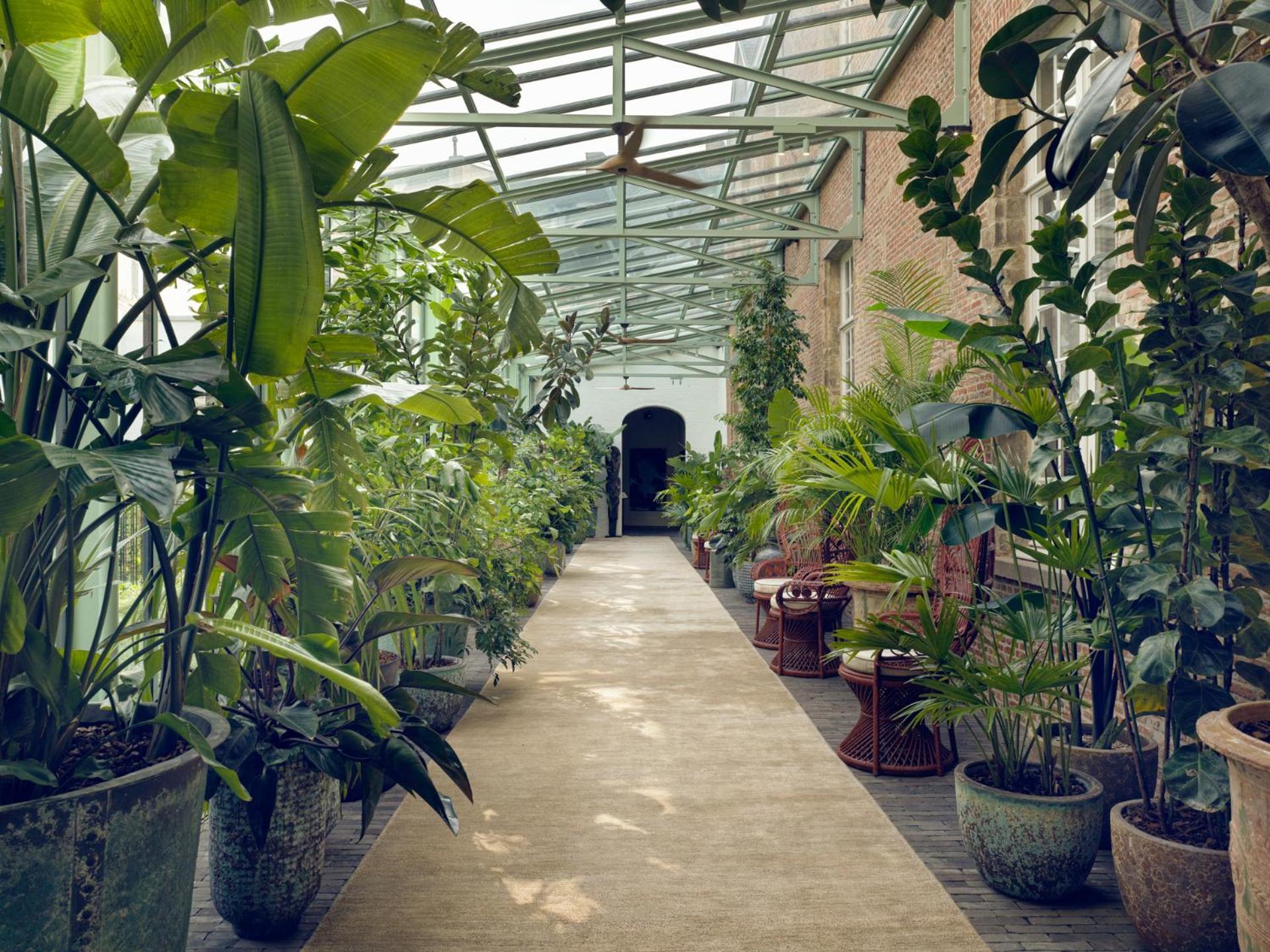 Botanic Sanctuary Antwerp - The Leading Hotels Of The World Exterior foto The greenhouse